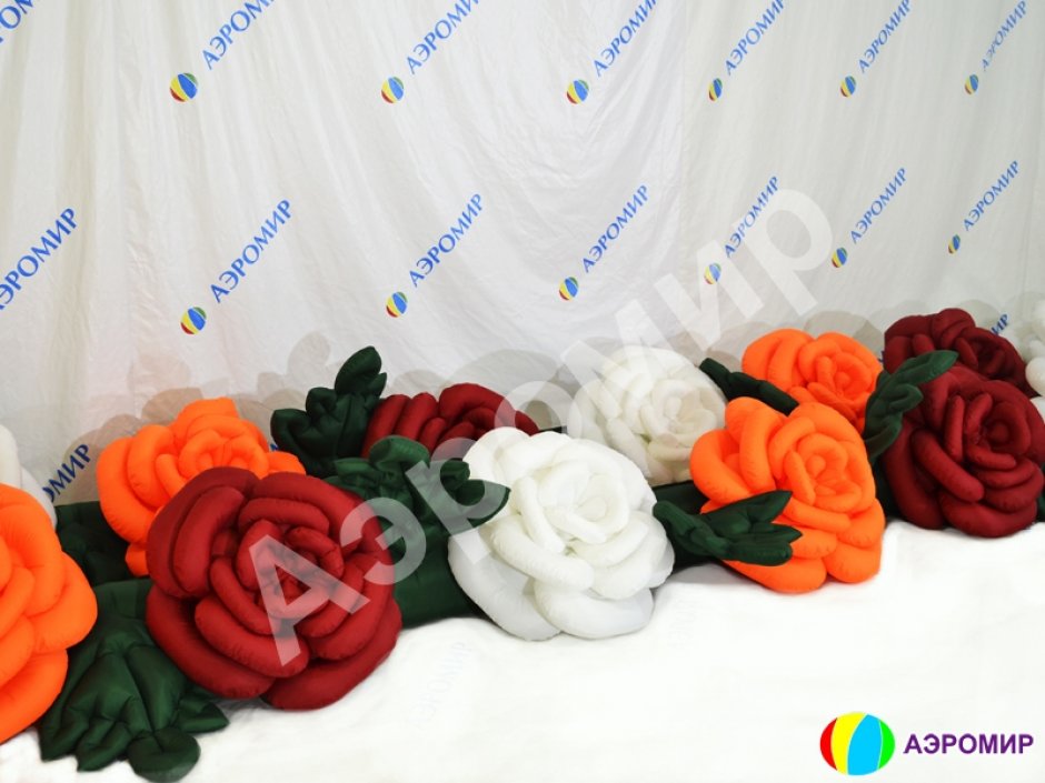 Роза с раскрытием