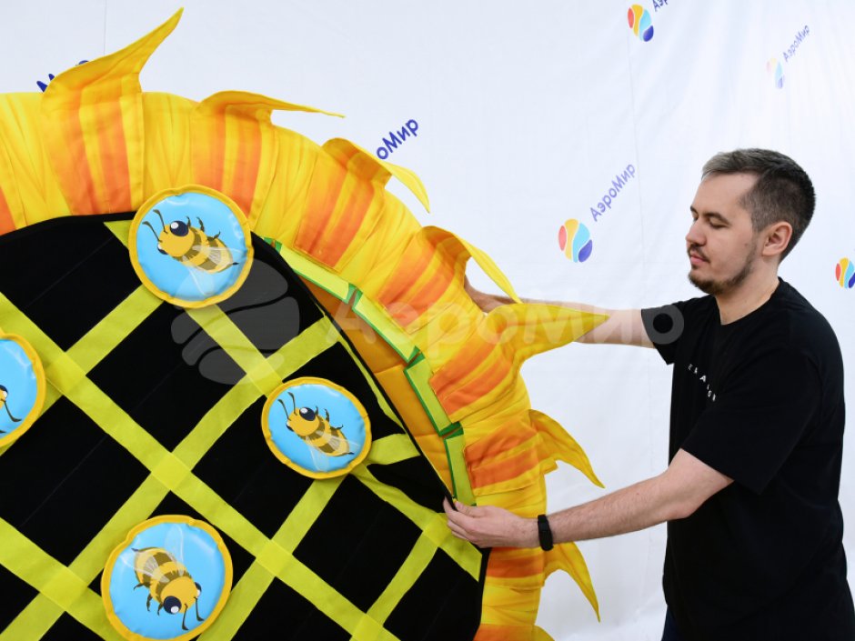 Дартс подсолнух