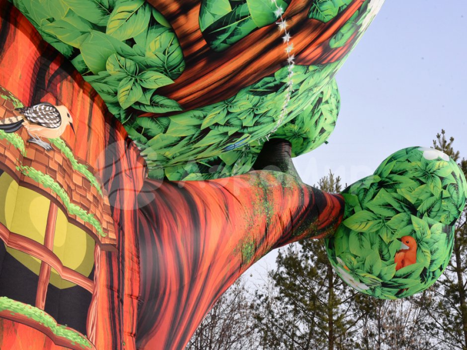 Чудо-дерево — невероятный дом фантазии и приключений