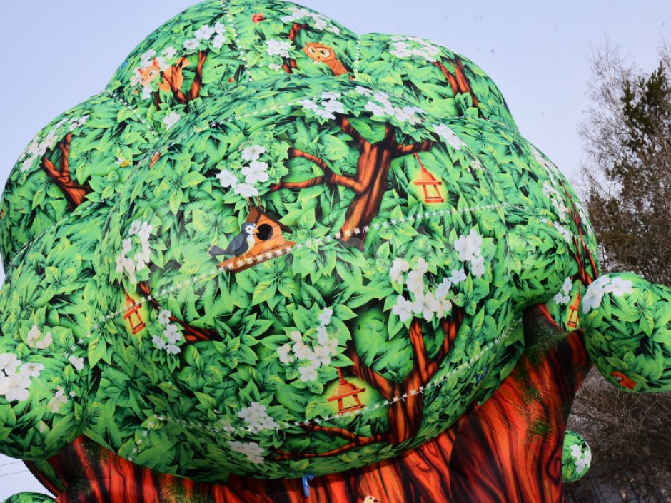 Чудо-дерево — невероятный дом фантазии и приключений