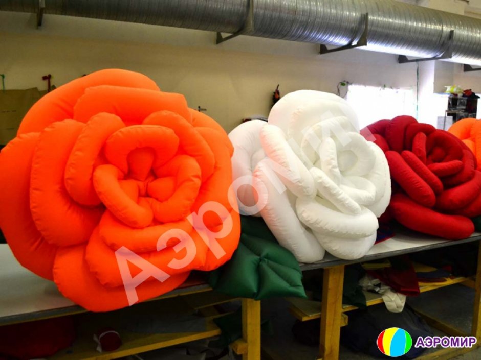 Роза с раскрытием