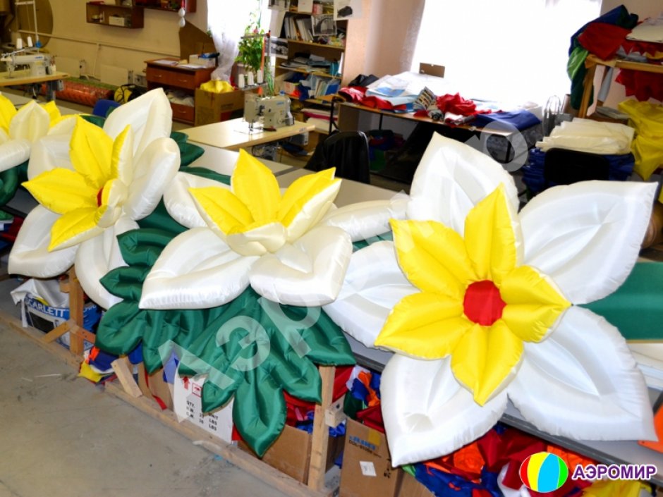 Незабудка с раскрытием