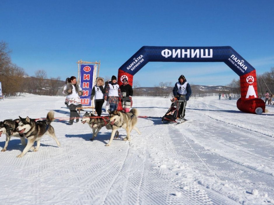 Полноцветная арка трапеция с опорами — премиум исполнение