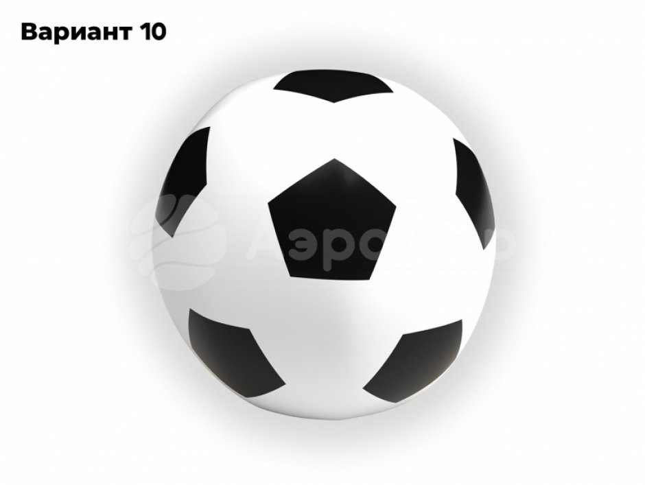 Мяч с чехлом