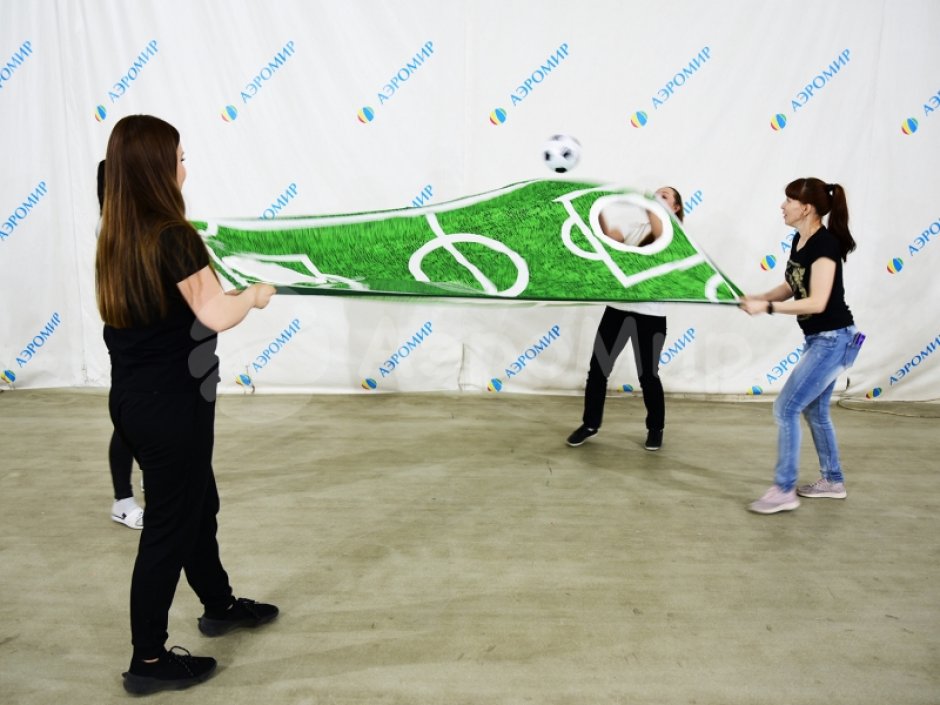 Командный игровой реквизит Футбольное поле