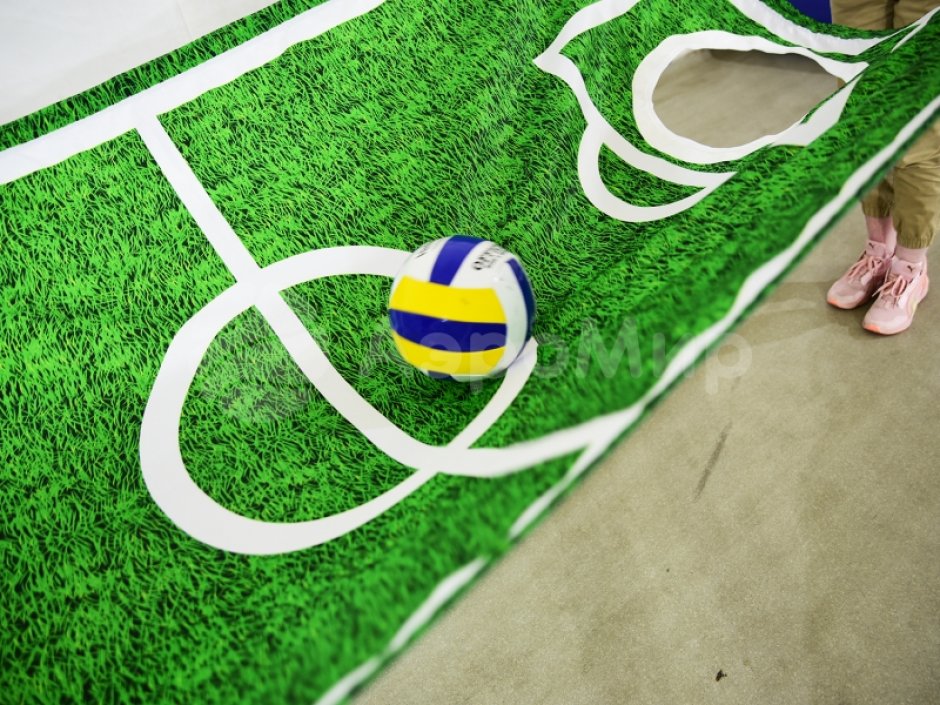 Командный игровой реквизит Футбольное поле