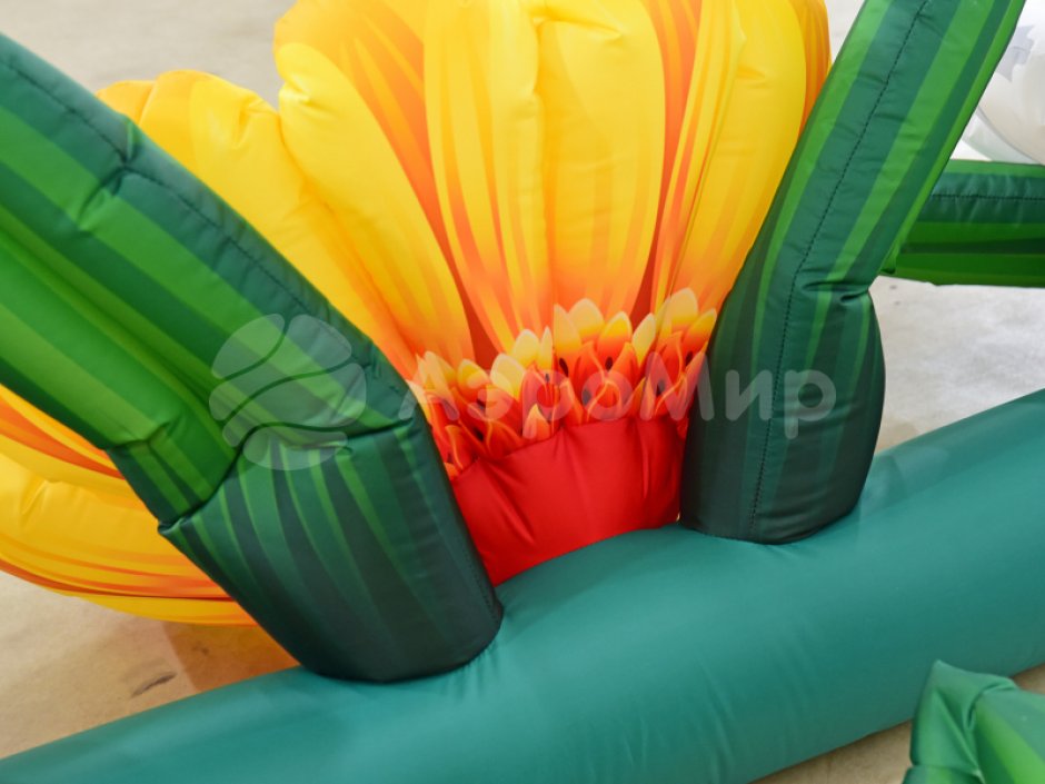 Надувные цветы Герберы