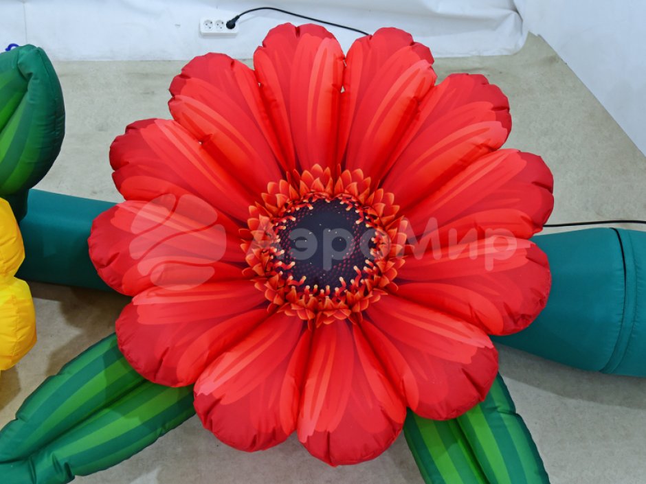 Надувные Герберы с эффектом раскрытия