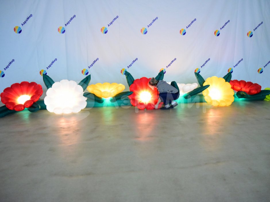 Надувные Герберы с эффектом раскрытия