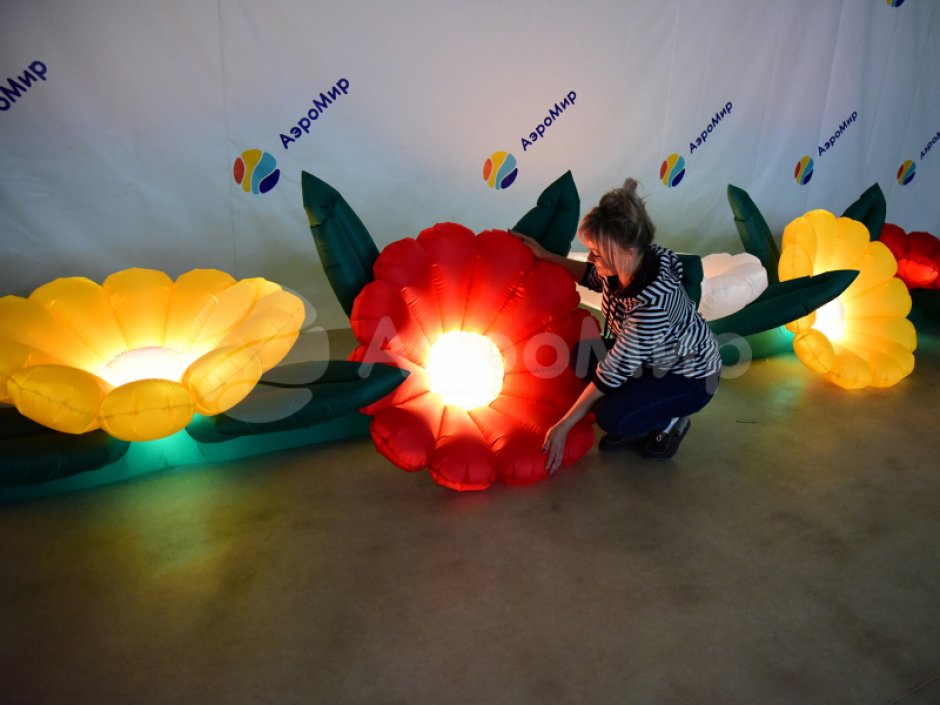 Надувные цветы Герберы