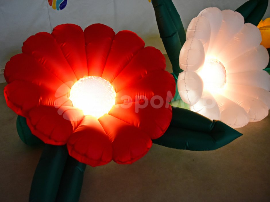 Надувные Герберы с эффектом раскрытия