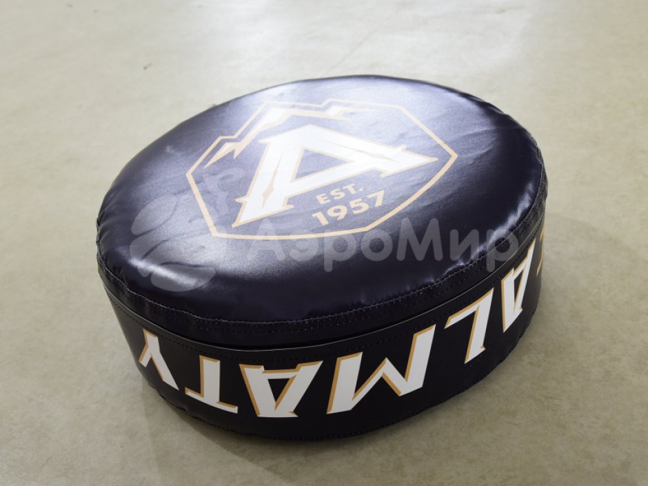 Гигантская шайба