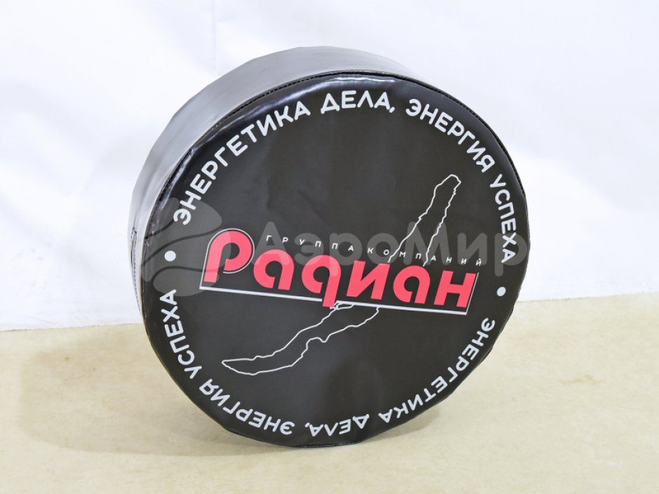 Гигантская шайба