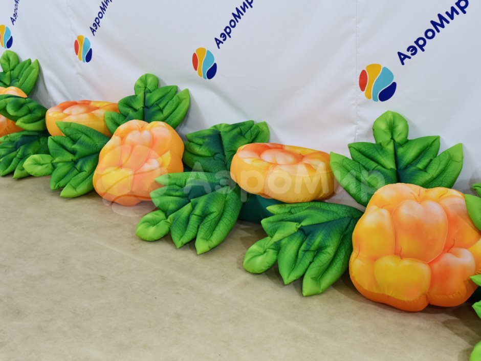 Надувная гирлянда Морошка