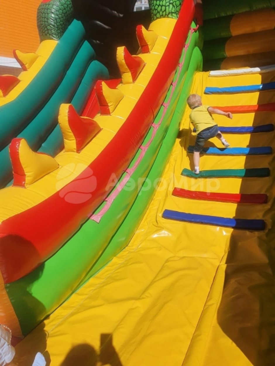 Надувной батут Большой Змей Горыныч — большой авторский батут-горка на 66 м²