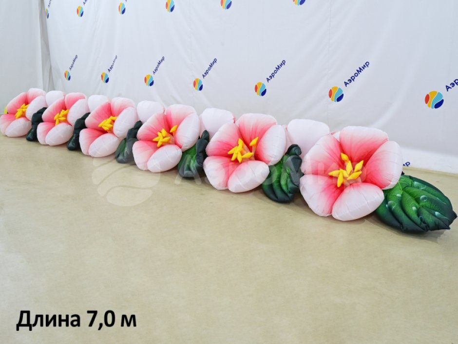 Яблоня с раскрытием