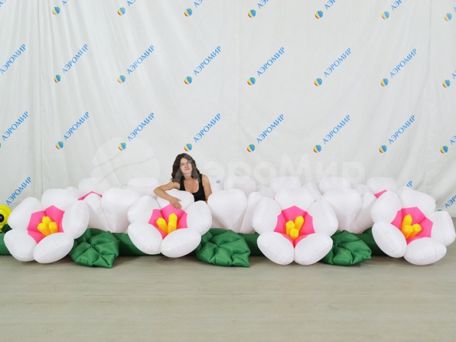 Яблоня с раскрытием