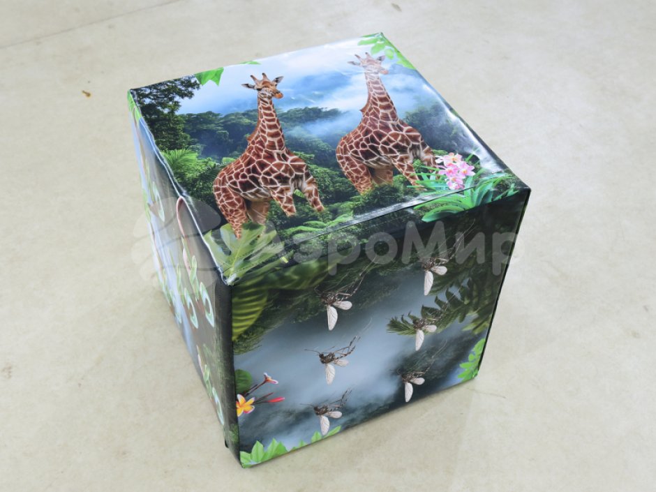 Гигантские кости — большие игральные кубики