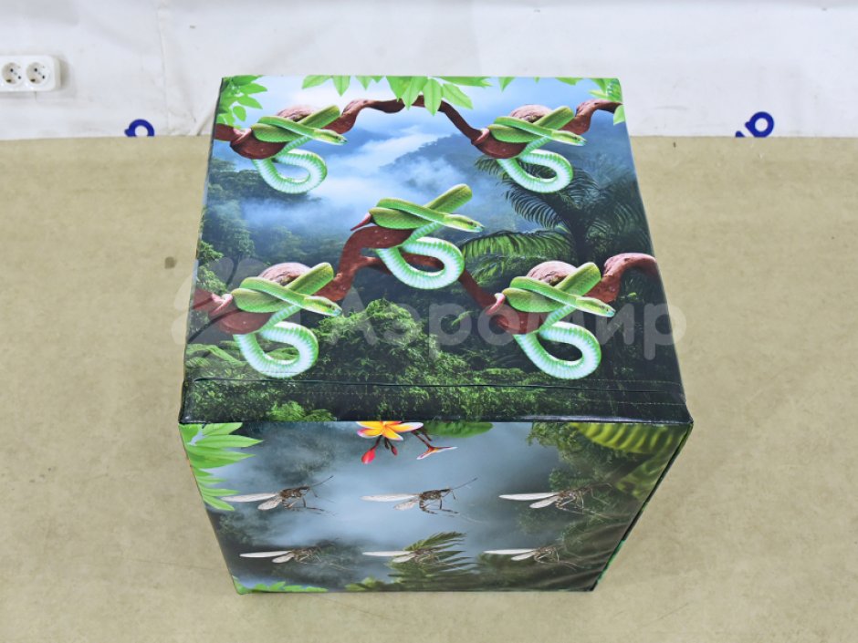 Гигантские кости — большие игральные кубики