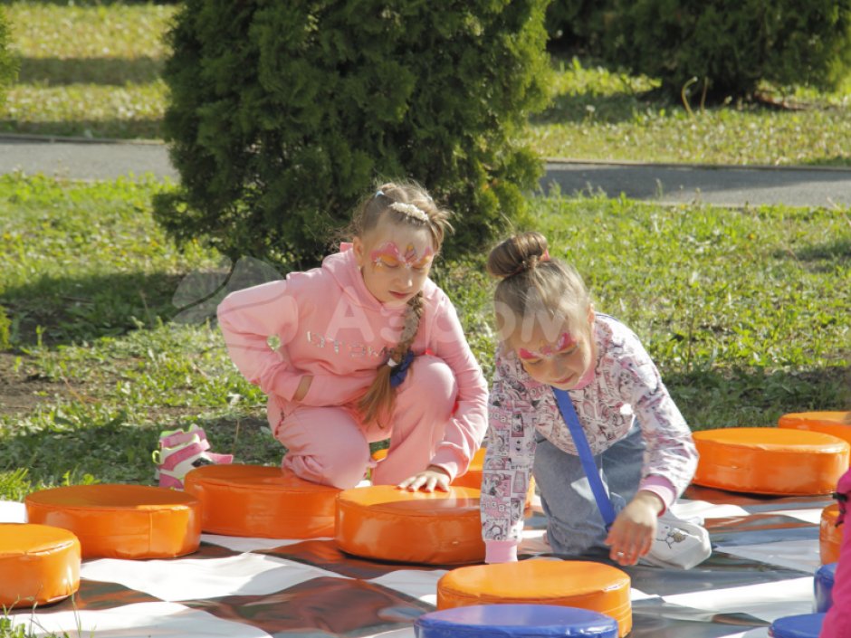 Гигантские шашки — 24 фигуры