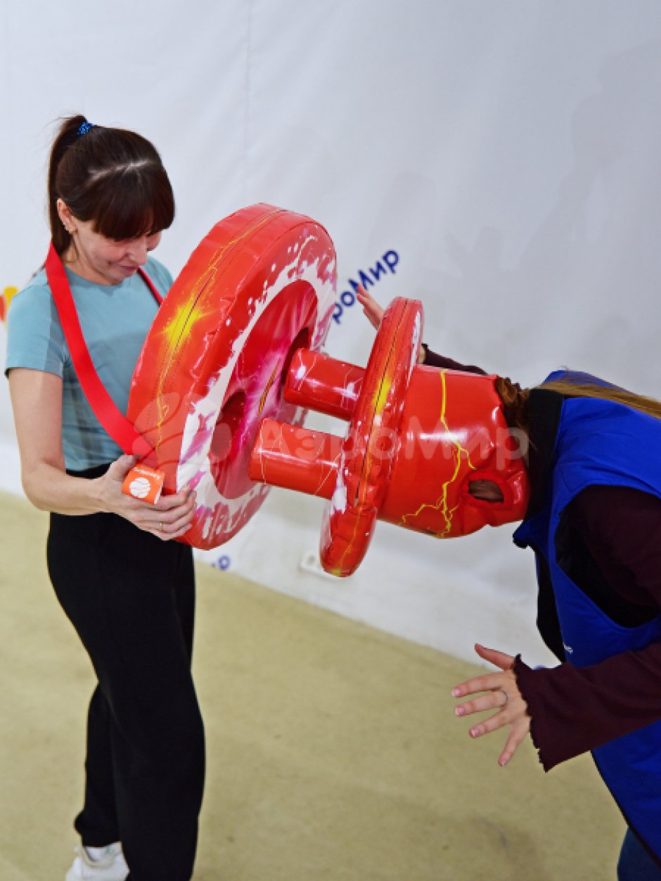 Гигантская розетка — командный аттракцион на двоих участников