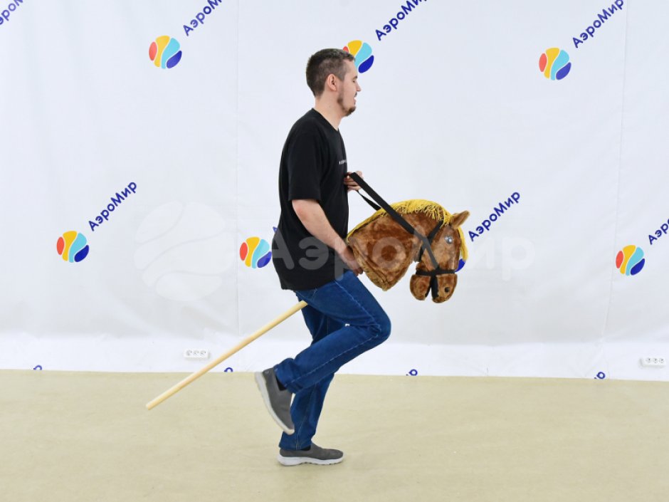 Хоббихорсинг — популярная игра из детства