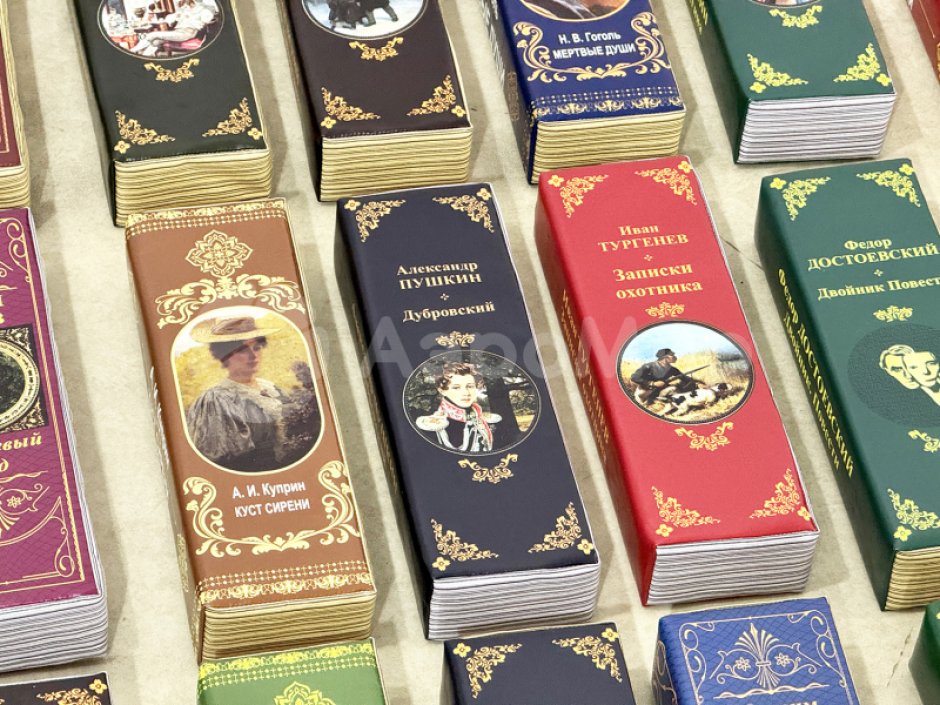 Гигантская дженга книжная