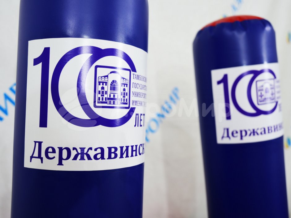 Кольцеброс Столбик — составной игровой реквизит на меткость