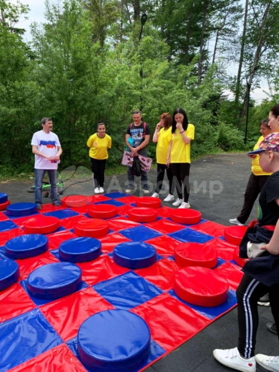 Гигантские шашки — 24 фигуры