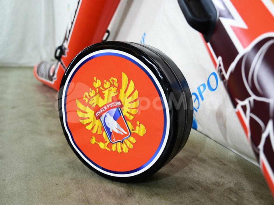 Гигантская шайба