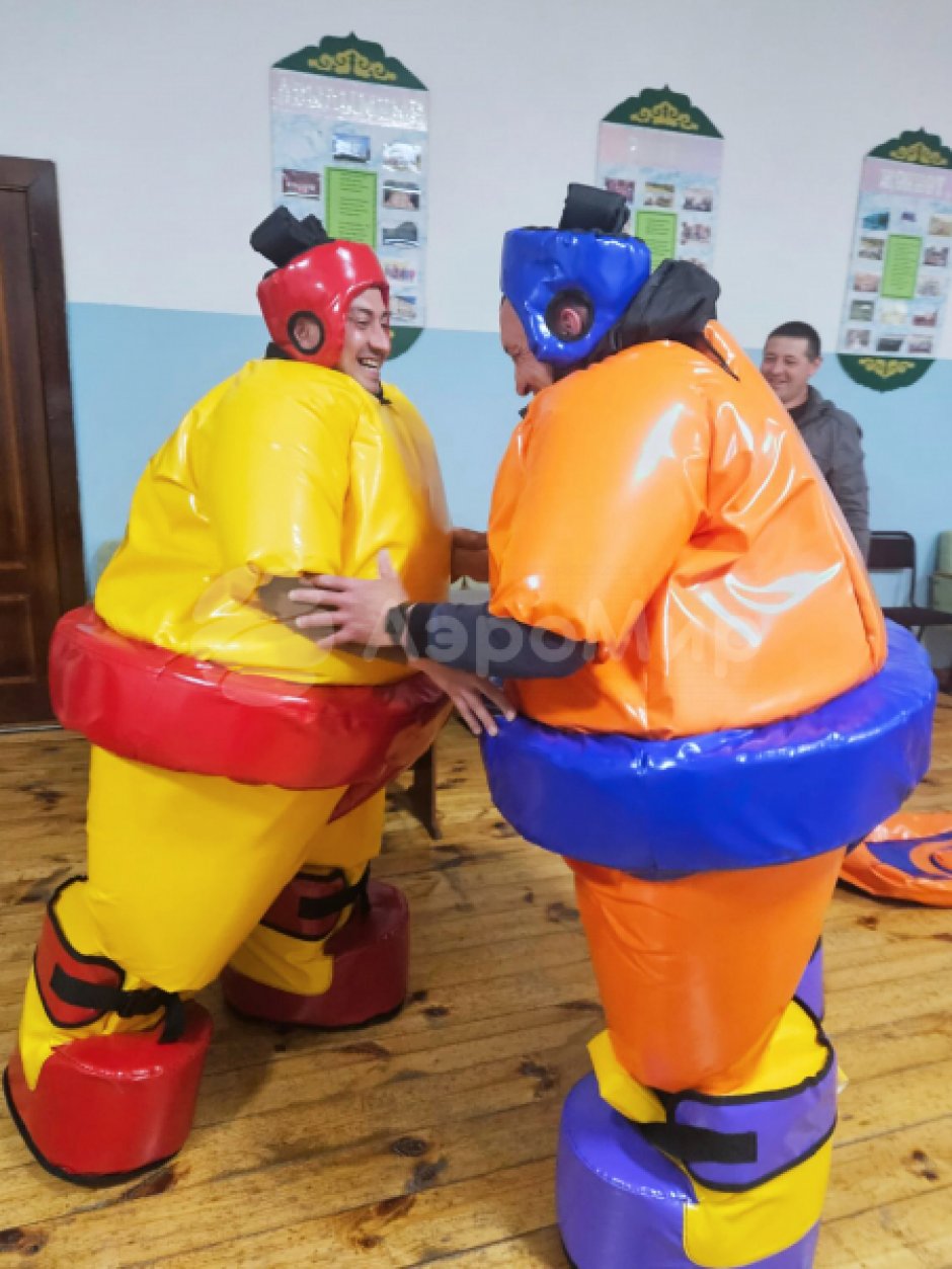 Сумо — комплект игровых аттракционов на двух участников