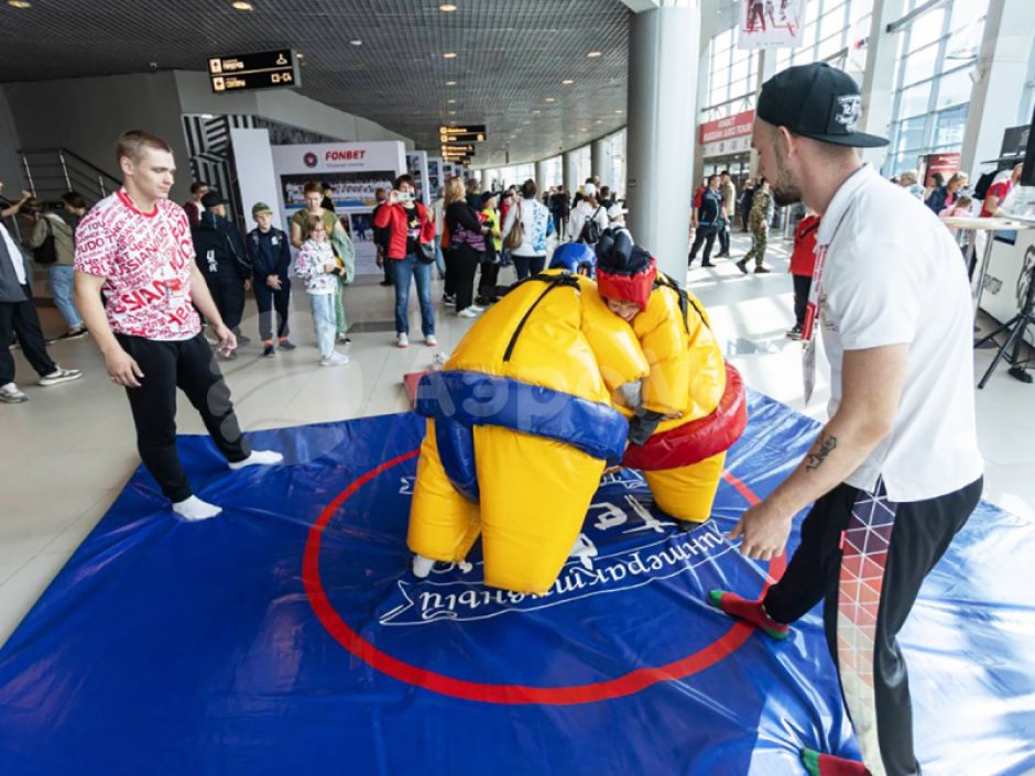 Сумо — комплект игровых аттракционов на двух участников