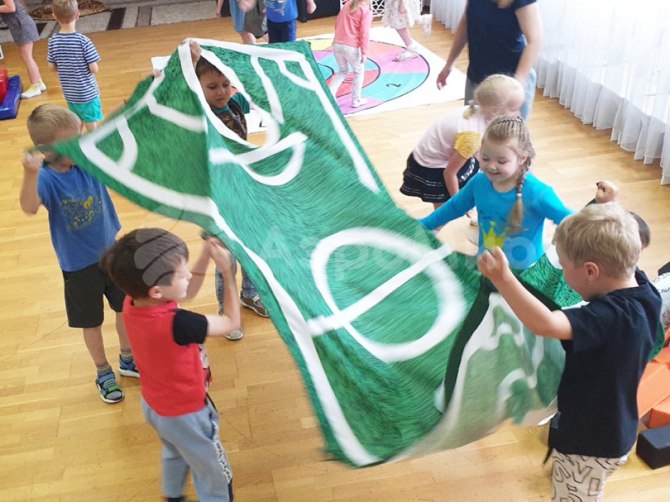 Командный игровой реквизит Футбольное поле