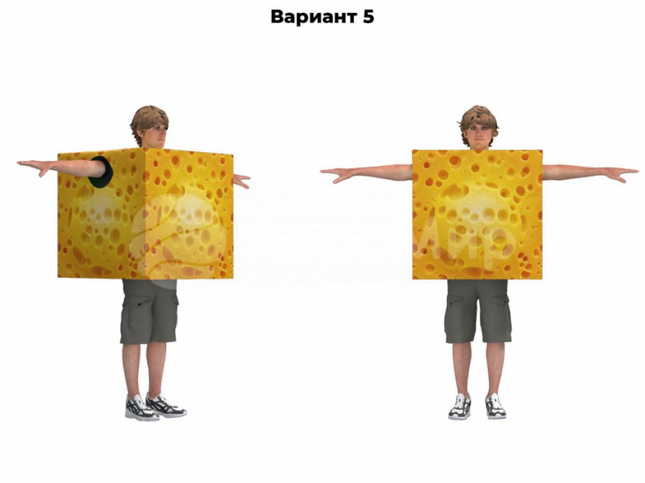 Костюм кубик для тимбилдинга