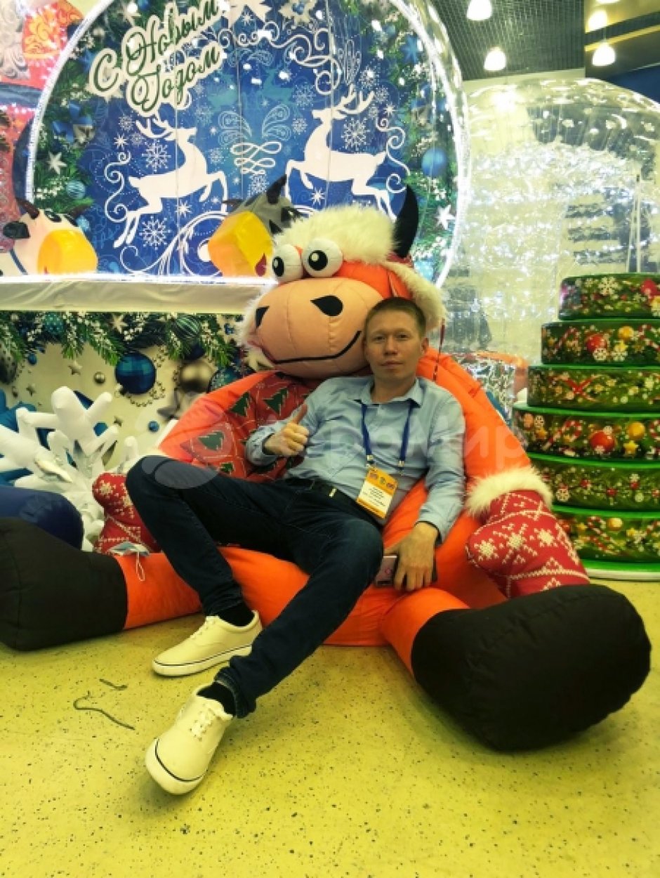 Кресло-мешок Бык