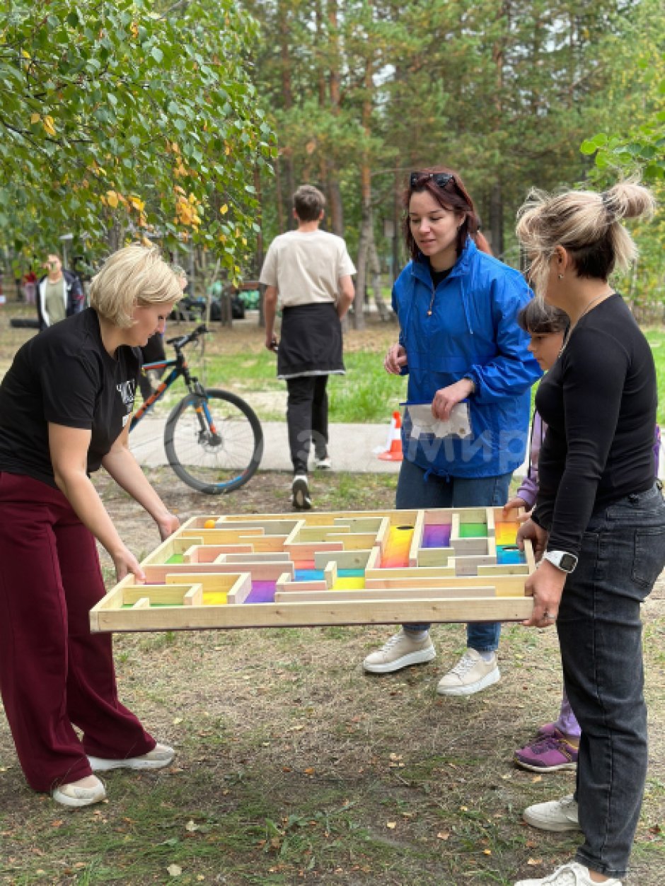 Аттракцион Лабиринт