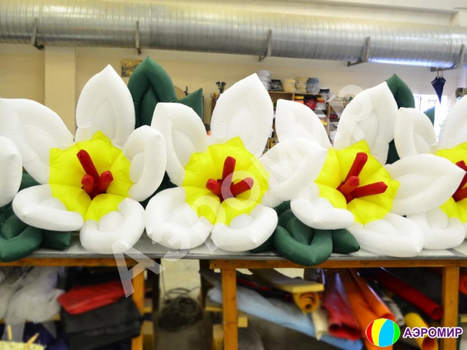 Лилия с раскрытием