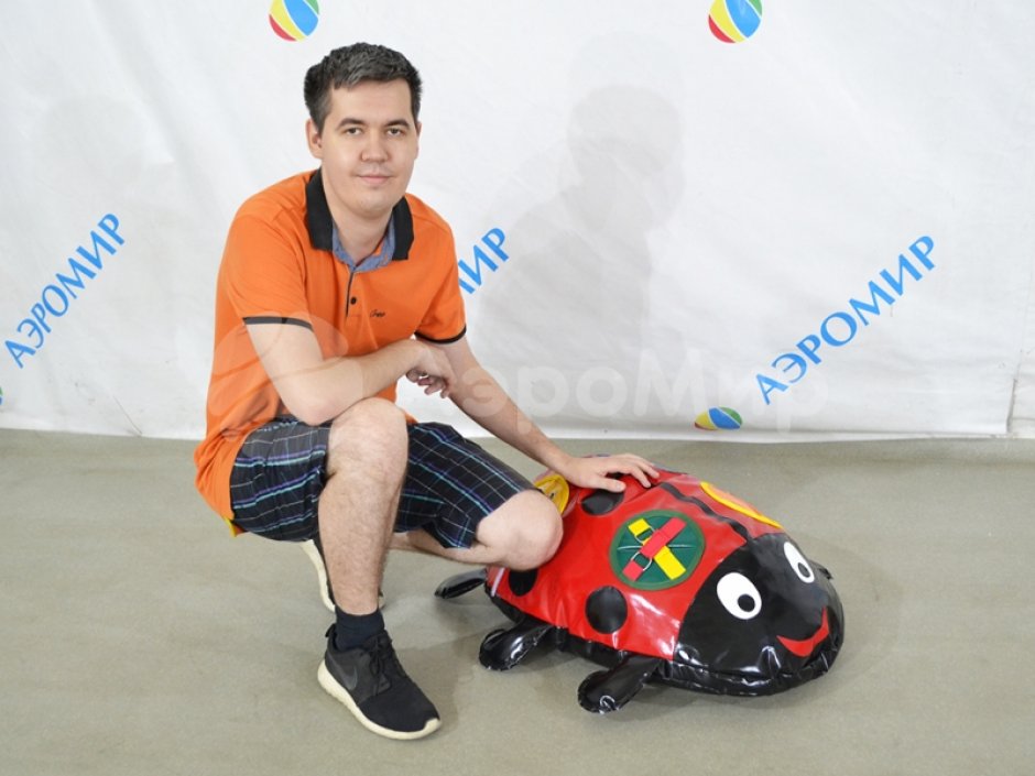 Дидактический мягкий модуль «Божья коровка»