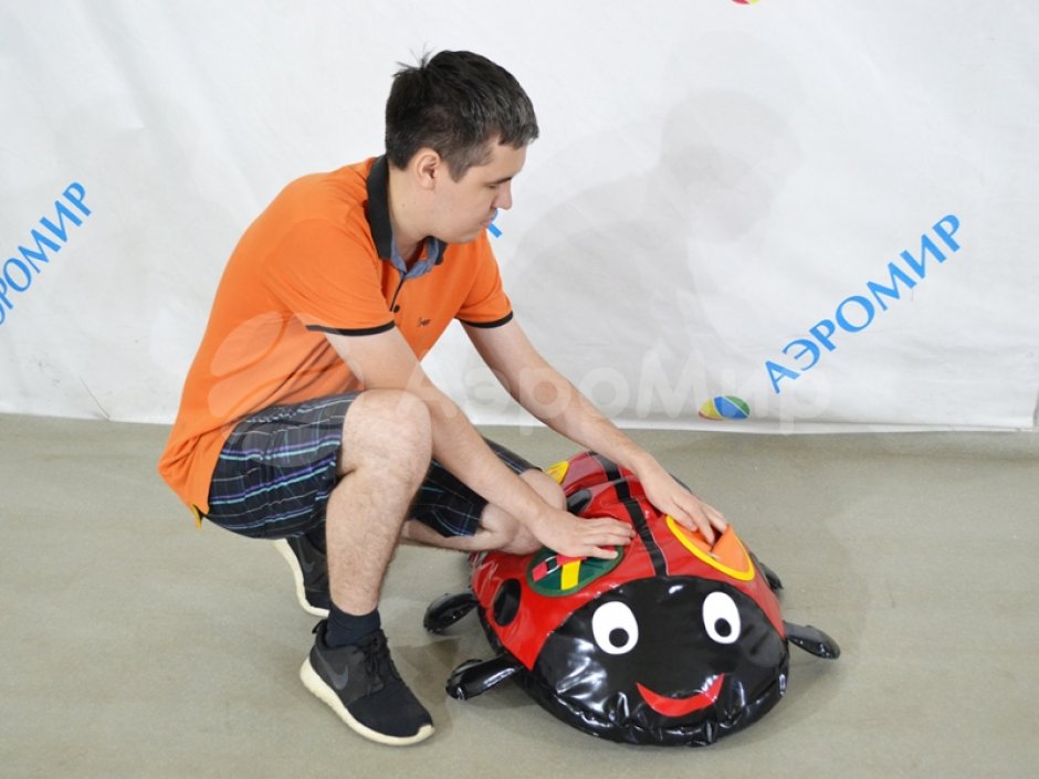 Дидактический мягкий модуль «Божья коровка»