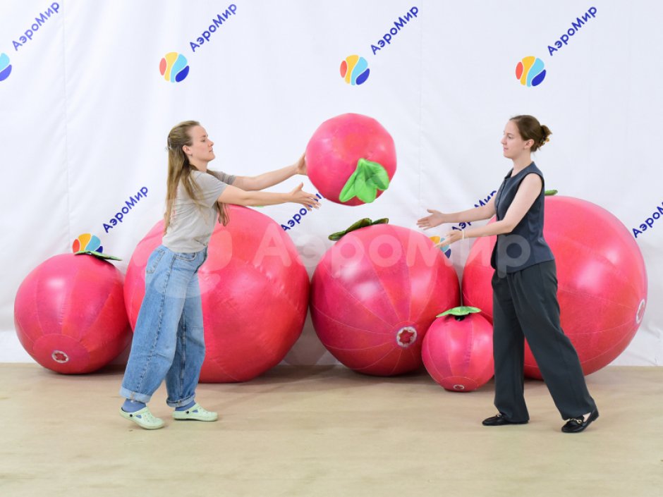 Большой надувной мяч - для спортивных игр и праздников