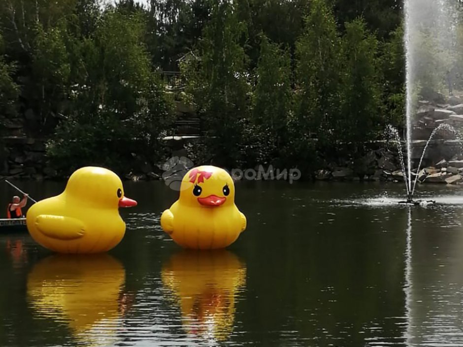 Надувная утка для фестиваля