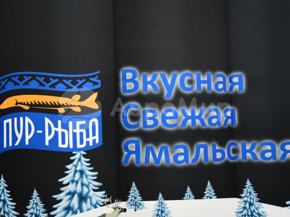 Надувной павильон — мобильная пневмоконструкция