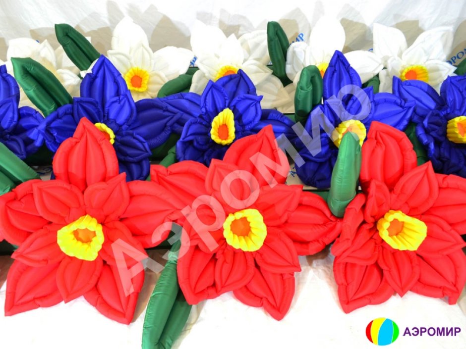 Нарцисс с раскрытием