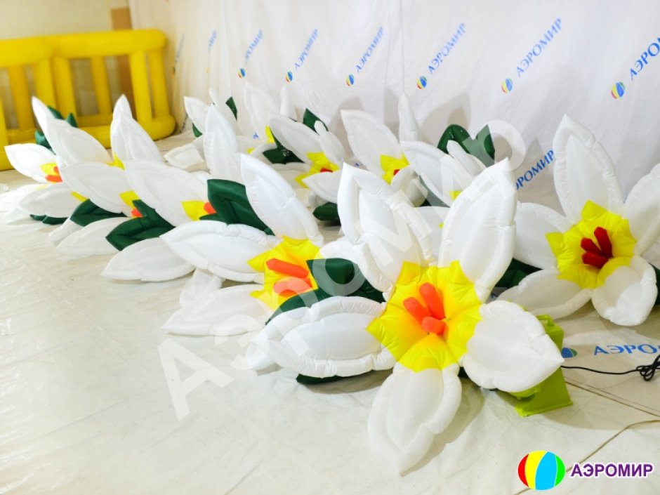 Лилия с раскрытием