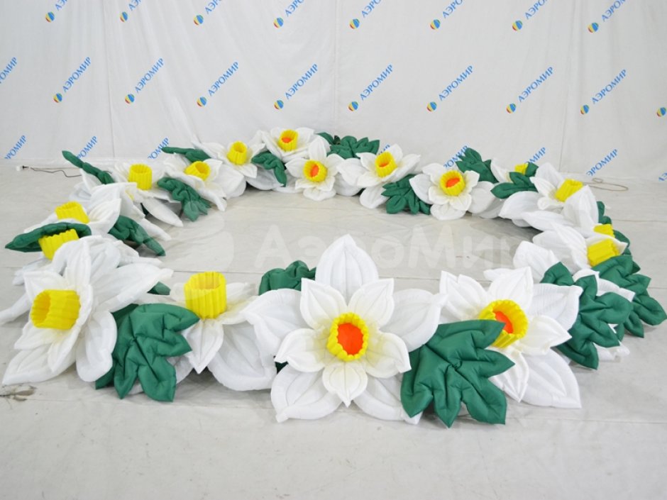 Нарцисс с раскрытием