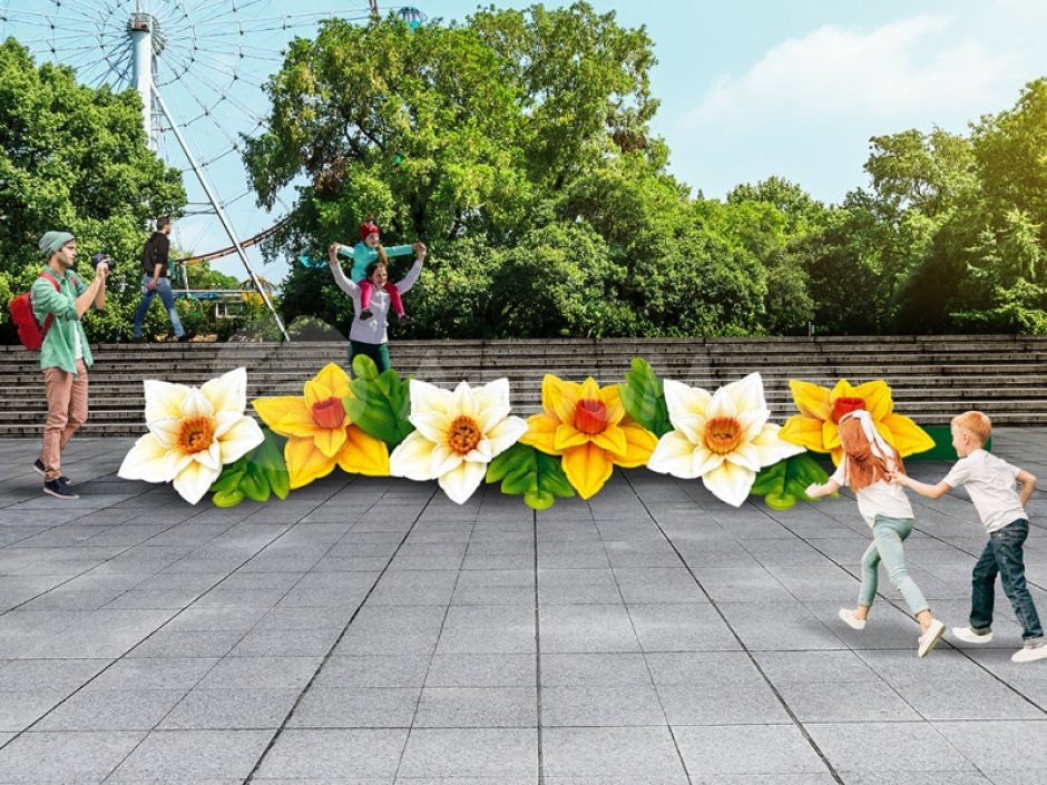 Нарцисс с раскрытием