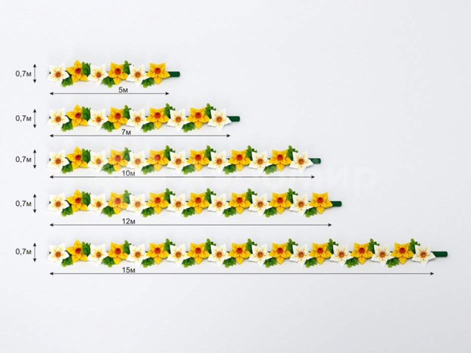 Нарцисс с раскрытием