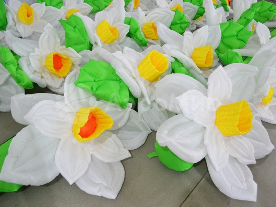 Нарцисс с раскрытием