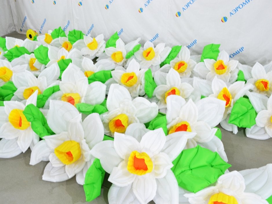 Нарцисс с раскрытием