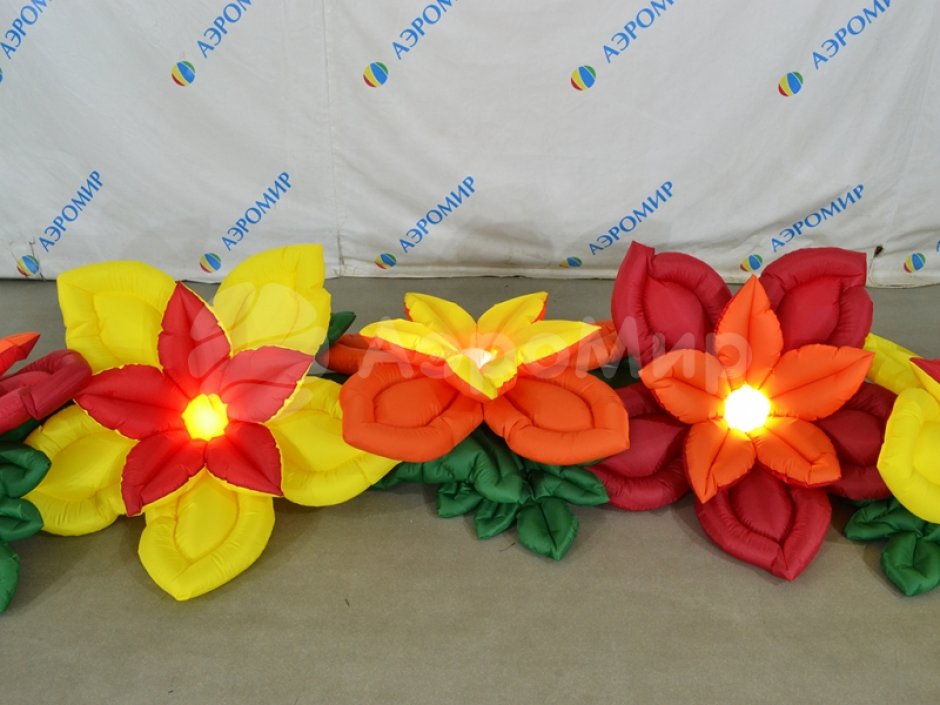 Незабудка с раскрытием